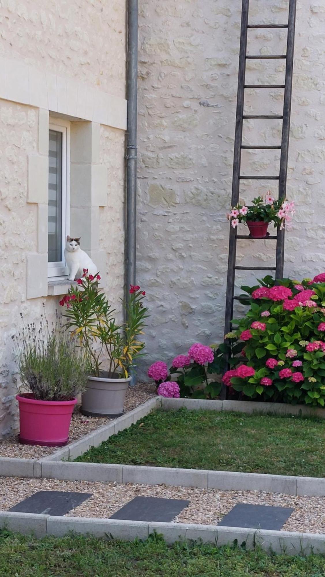 Gite Amanala Poitou Saint-Genest-d'Ambiere Exteriér fotografie